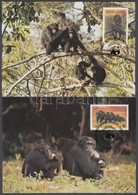 1983 WWF: Csimpánzok Sor 4 Db CM-en Mi 713-716 - Andere & Zonder Classificatie