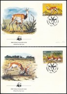 1986 WWF: Dámgazella Sor Mi 875-878 4 Db FDC-n - Other & Unclassified