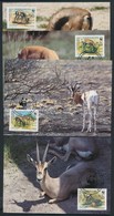 1992 WWF Gazella Sor Mi 444-447 4 CM - Other & Unclassified