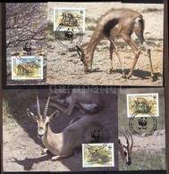 1992 WWF: Gazellák Mi 436-439 4 Db CM-en - Otros & Sin Clasificación