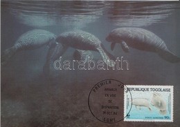 1984 WWF Állatok Sor CM Mi 1763 - 1768 - Other & Unclassified