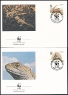 1991 WWF: Hidasgyík Sor Mi 1160-1163 4 Db FDC-n - Otros & Sin Clasificación