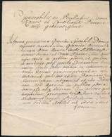 1776 Ozsegovics István (?-?) Kérvénye Azonosítatlan Bárói Rangú Tanácsosnak, Latin Nyelven, Kis Sérüléssel, Pecsétje Hiá - Unclassified