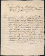 1776 Ozsegovics István (?-?) Kérvénye Azonosítatlan Bárói Rangú Tanácsosnak, Latin Nyelven, Kis Sérüléssel, Pecsétje Hiá - Non Classés