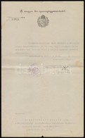 1922 Dr. Szentkirályi Miklós Sátoraljaújhelyi Kir. ügyészségi Alelnöki Kinevezése, A M. Kir. Igazságügyminisztérium Címe - Unclassified