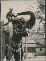 Cca 1930 India, A Maharadzsa Elefántja, Angolul Feliratozott Sajtófotó, 20x15 Cm /
Cca 1930 India, The Maharaja's Elepha - Other & Unclassified