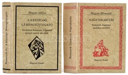 Remenyik Zsigmond: Nagytakarítás. Remenyik Zsigmond Szatirikus Esszéiből. A Képzelgő Lámpagyújtogató. Fordítások Remenyi - Unclassified