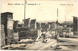 T3 1910 Mézged, Meziad; Bihari Erdőipari és Mészégető Rt. Telepe A Munkásokkal, Fatelep, Fűrésztelep / Forestry And Lime - Unclassified