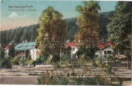 T2/T3 1918 Bártfa, Bártfafürdő, Bardejovské Kúpele, Bardiov; Park, Villa Sor / Park, Villas (EK) - Unclassified