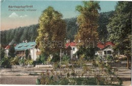 T2/T3 1918 Bártfa, Bártfafürdő, Bardejovské Kúpele, Bardiov; Park, Villa Sor / Park, Villas (EK) - Non Classés