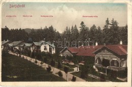 T3 1917 Bártfa, Bártfafürdő, Bardejovské Kúpele, Bardiov; Adrienn Villa, Sándor Lak, Budapest Villa, Kaczvinszky Villa.  - Non Classés