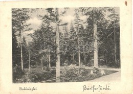 T4 Bártfa, Bártfafürdő, Bardejovské Kúpele, Bardiov;  Erdő, út / Forest, Road (vágott / Cut) - Sin Clasificación
