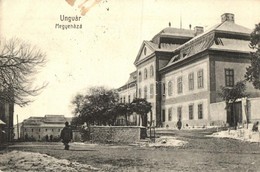 T4 1911 Ungvár, Uzshorod, Uzhhorod, Uzhorod; Megyeháza / County Hall (fa) - Non Classés