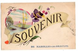 34347-ZE-72-SOUVENIR DE MAROLLES-LES-BRAULTS-------------paysage-fleurs - Marolles
