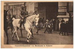 ** T4 Generalfeldmarschall Von Mackensen In Bukarest / August Von Mackensen German Field Marshal In Bucharest (vágott /  - Unclassified