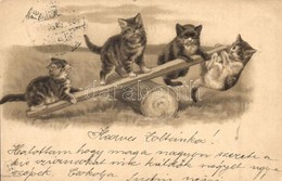 T2/T3 1900 Cats On Teeter, E. S. D. B. Serie 7047. Litho Emb. (EK) - Unclassified