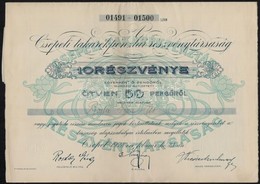 Csepel 1928. 'Csepeli Takarékpénztár Részvénytársaság' 10 Névre Szóló Részvénye Egyben összesen 50P-ről, Szelvényekkel,  - Sin Clasificación