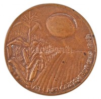 1969. 'Állami Gazdaságok 1949-1969' Egyoldalas Br Plakett. Szign.: SZJ (86,5mm) T:2 - Unclassified