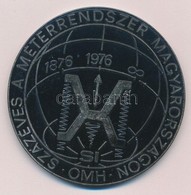 1976. 'Százéves A Méterrendszer Magyarországon' Ezüstözött Br Plakett, Hátoldalon Gravírozva 'Országos Mérésügyi Hivatal - Unclassified