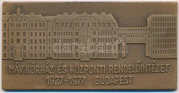 1977. 'Máv. Kórház és Központi Rendelőintézet 1927-1977, Budapest' Br Emlékplakett Eredeti Tokban (40x80mm) T:1- - Non Classés