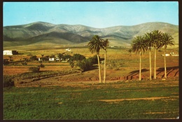 Fuerteventura  -  La Antigua  -  Ansichtskarte Ca.1981   (10339) - Fuerteventura