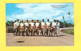 Postcard - USA, Florida, Sarasota Kennel Club    (27394) - Sarasota