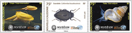 Nieuw-Caledonië / New Caledonia - Postfris / MNH - Complete Set Kleine Dieren 2018 - Unused Stamps