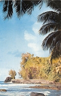 ¤¤  -  POLYNESIE FRANCAISE  -  TAHITI  -  La Pointe D'OROFARA    -  ¤¤ - Polynésie Française