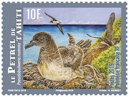 Frans-Polynesië / French Polynesia - Postfris / MNH - Complete Set Vogels 2019 - Ungebraucht