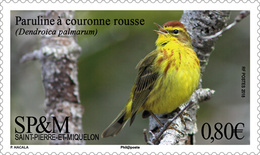 Saint Pierre Et Miquelon - Postfris / MNH - Complete Set Vogels 2018 - Ungebraucht