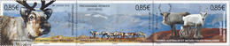 TAAF - Postfris / MNH - Complete Set Dieren 2018 - Unused Stamps