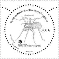 TAAF - Postfris / MNH - Insecten 2018 - Unused Stamps