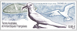 TAAF - Postfris / MNH - Vogels 2019 - Ungebraucht