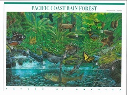 US 2000 Sheet Wildlife Of Pacific Coast Rainforest,Scott # 3378,XF MNH** - Sheets