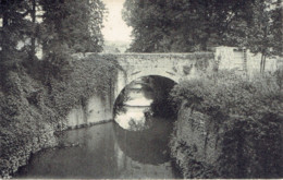 Vues Choisies De La Vallée De La Meuse N°13 Vieux Pont Sur Le Samson - Andenne