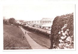 RP PIER AND SOUTH PROMENADE CLEETHORPES UNUSED - Andere & Zonder Classificatie