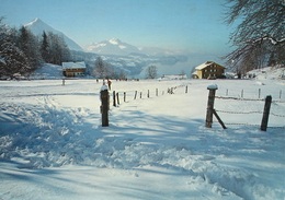 LEISSIGEN Meielisalp Skilift - Leissigen