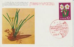 Carte Maximum Japon 1961 Série Fleurs Narcisses 664 - Tarjetas – Máxima