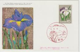 Carte Maximum Japon 1961 Série Fleurs Iris 669 - Cartoline Maximum