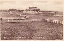 EPSOM DOWNS - The Grand Stand From Tattenham Corner - Surrey