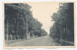 Rijmenam: Lange Dreef / Allee Longue ** - Bonheiden