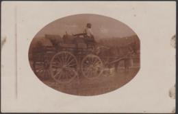 TASMANIA - View Of Apples And Horse And Cart. Used - Hobart