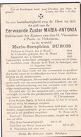 Zuster, Soeur, Maria Dubois, Gooik, Goyck,1940 - Images Religieuses