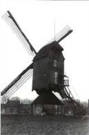 RETIE (Prov. Antw.) Molen/moulin - Historische Opname Van De Verdwenen Asbergmolen In 1945, Enkele Jaren Voor De Afbraak - Retie