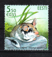 Estonia - 2010. Topo Quercino. Garden Mouse MNH - Knaagdieren