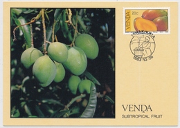 Venda - (Südafrika) - Maximumkarte Mango - Venda