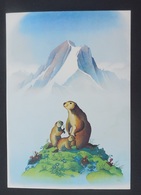 SAMIVEL N°1105  (D'après) Affiche Du Parc National De La Vanoise / Edition Mythra  / Non Voyagée - Samivel