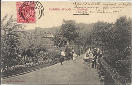 CPA Angleterre Sheffield Endcliffe Woods - Sheffield