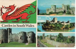 CHEPSTOW - MANORBIER - PEMBROKE - CARDIFF - CASTLES IN SOUTH WALES - Monmouthshire