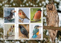 GUERNSEY  2019  Nat. Birds    Owl Goldfinch Kingfisher  Sheetlet     Postfris/mnh/neuf - Neufs